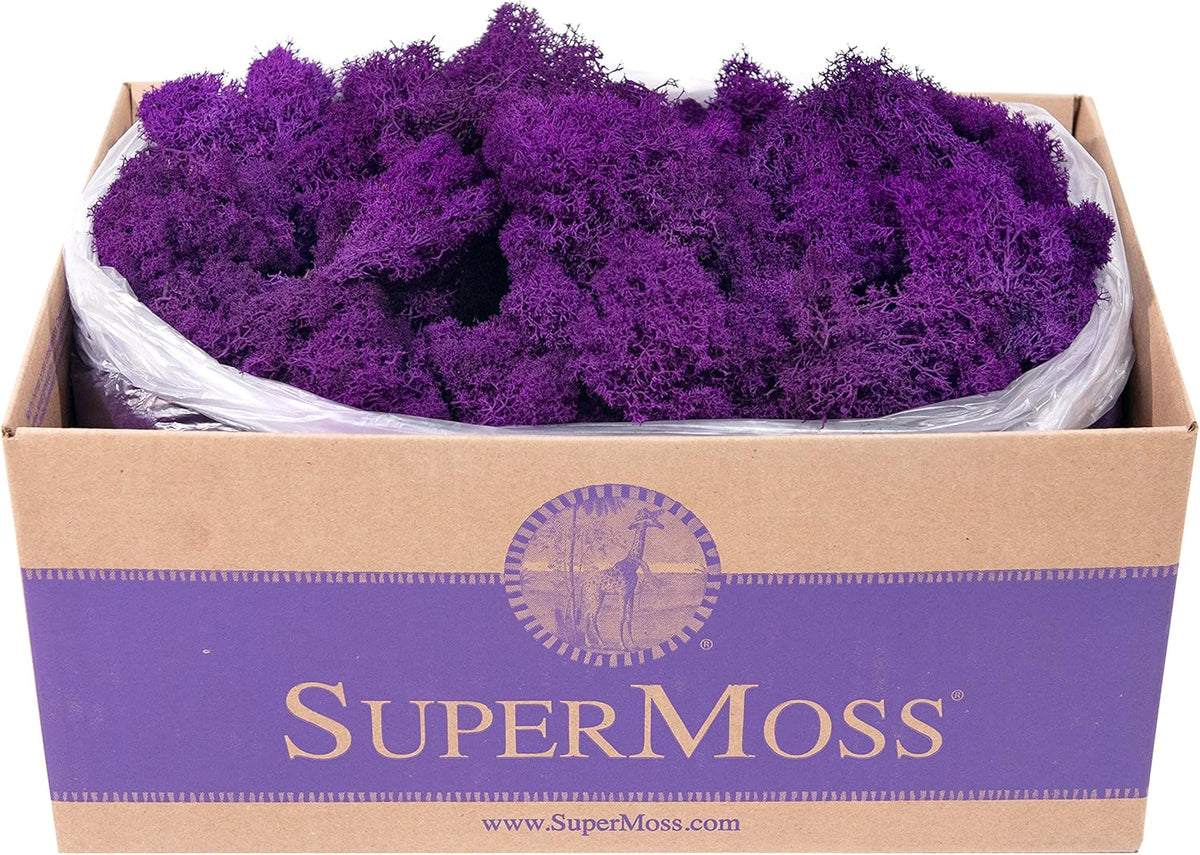 21669 Reindeer Moss Preserved, Chartreuse, 8oz (200 cubic inch)