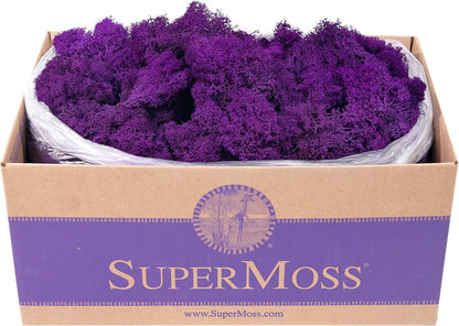 21669 Reindeer Moss Preserved, Chartreuse, 8oz (200 cubic inch)