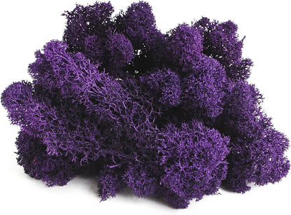 21669 Reindeer Moss Preserved, Chartreuse, 8oz (200 cubic inch)