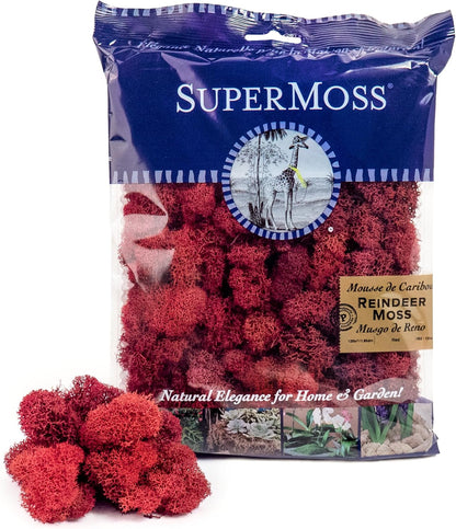 21669 Reindeer Moss Preserved, Chartreuse, 8oz (200 cubic inch)