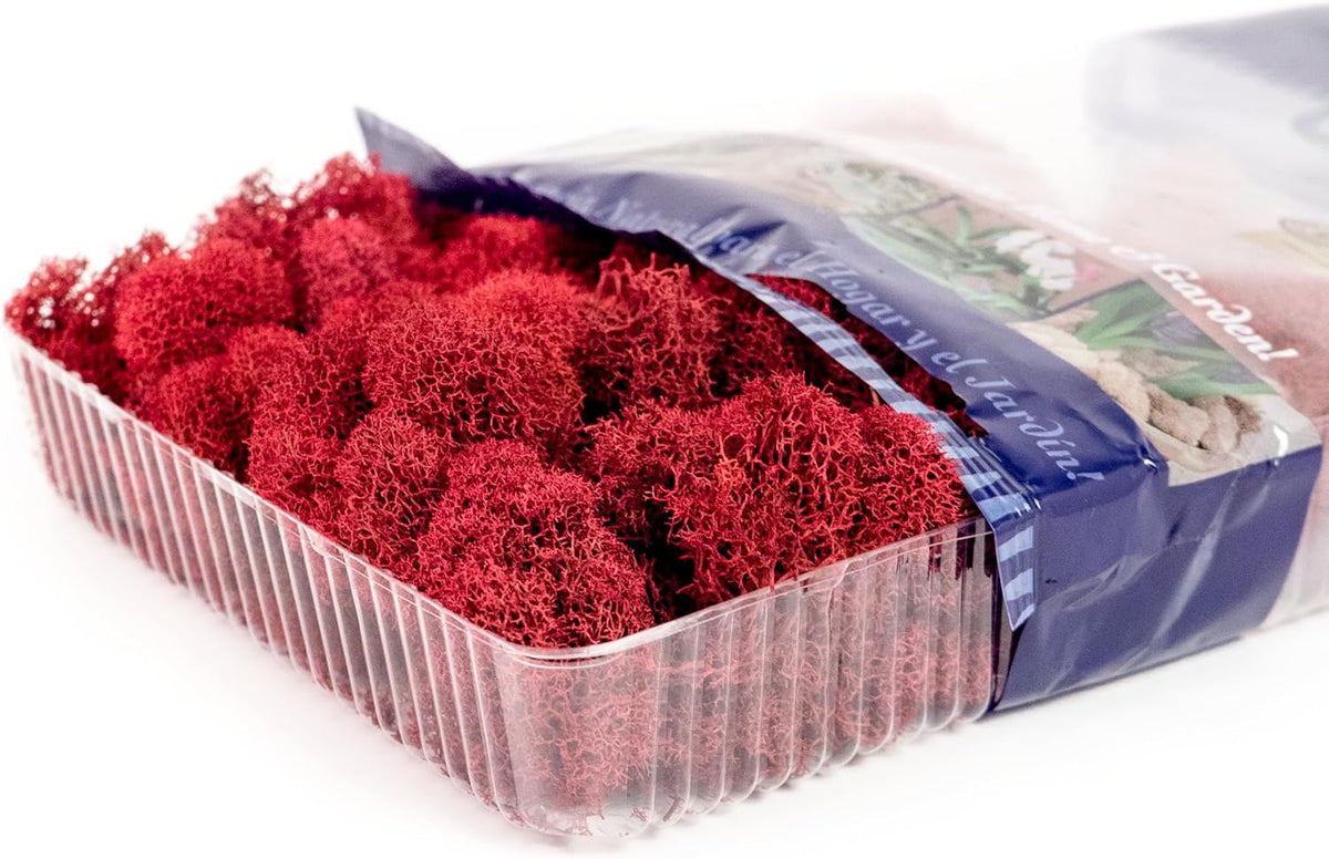 21669 Reindeer Moss Preserved, Chartreuse, 8oz (200 cubic inch)