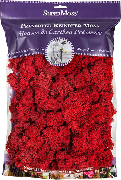 21669 Reindeer Moss Preserved, Chartreuse, 8oz (200 cubic inch)