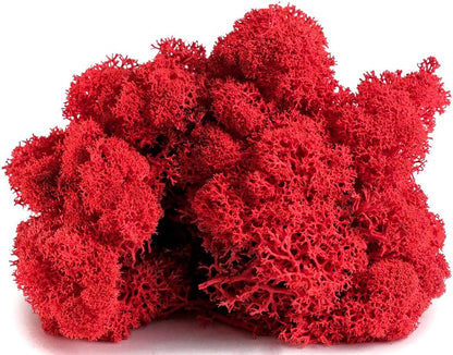 21669 Reindeer Moss Preserved, Chartreuse, 8oz (200 cubic inch)