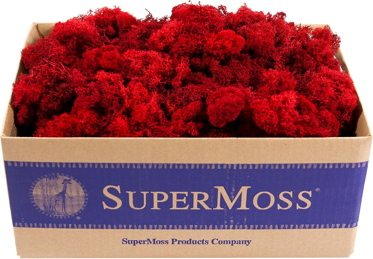 21669 Reindeer Moss Preserved, Chartreuse, 8oz (200 cubic inch)