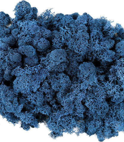 21669 Reindeer Moss Preserved, Chartreuse, 8oz (200 cubic inch)