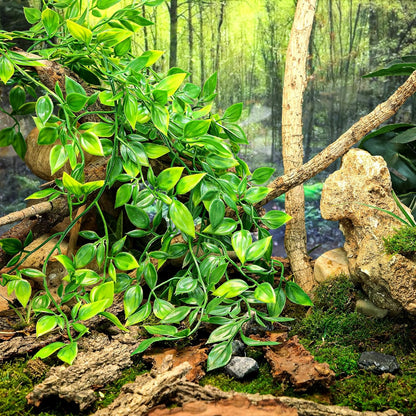 Reptile Plants, 2 Pack Terrarium Hanging Plants Vines Artificial Leaves Habitat Decorations with Suction Cup for Bearded Dragon Hermit Crab Lizard Snake Geckos Chameleon