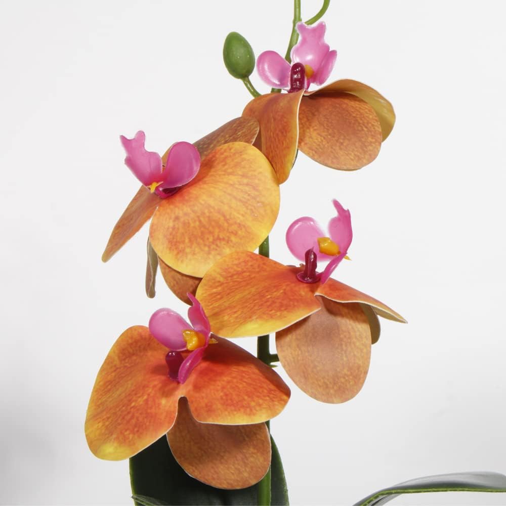 Fake Orchids Artificial Flowers, Reptile Terrarium Decor Plants, Bearded Dragon Tank Accessories fit Crested Gecko Leopard Lizard Chameleon Ball Python Snake Frog (Radiant)