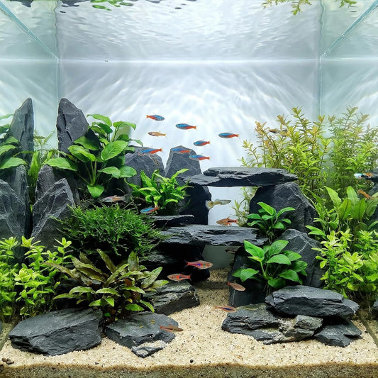 YISZM Slate Rock for Aquarium, 5-7 Inch Polished Natural Stone Rocks,10 lbs