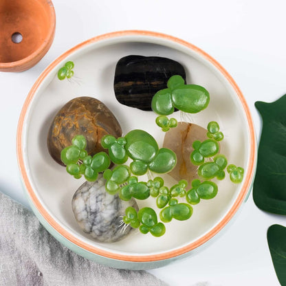 54pcs Floating Aquarium Plants, Plastic Fake Duckweed, Artificial Floating Plant for Aquarium(1.57x1.73inch / 40x44mm, 0.86x0.86inch/22mmx22mm, 0.59x0.59inch/15x15mm)