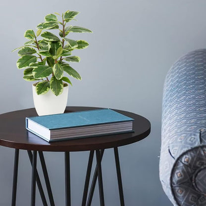 Artificial Plants Mini Camellia Potted Fake Plants Small Faux Plastic Plants Desk Plant Artificial Flowers with Vase for Home Office Desk Kitchen Garden Indoor Decor
