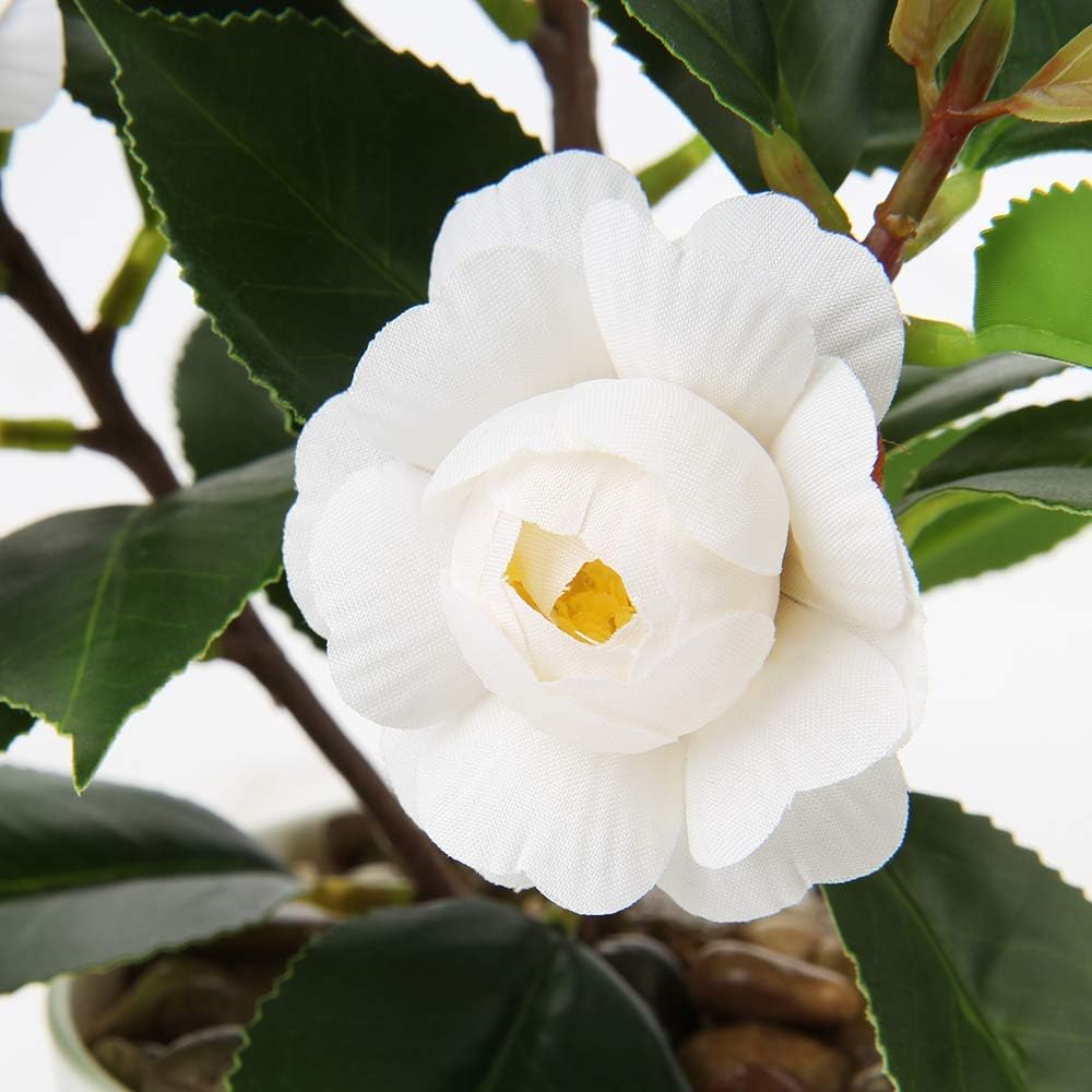 Artificial Plants Mini Camellia Potted Fake Plants Small Faux Plastic Plants Desk Plant Artificial Flowers with Vase for Home Office Desk Kitchen Garden Indoor Decor