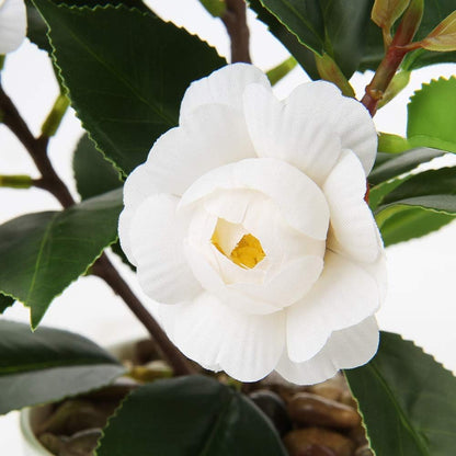 Artificial Plants Mini Camellia Potted Fake Plants Small Faux Plastic Plants Desk Plant Artificial Flowers with Vase for Home Office Desk Kitchen Garden Indoor Decor