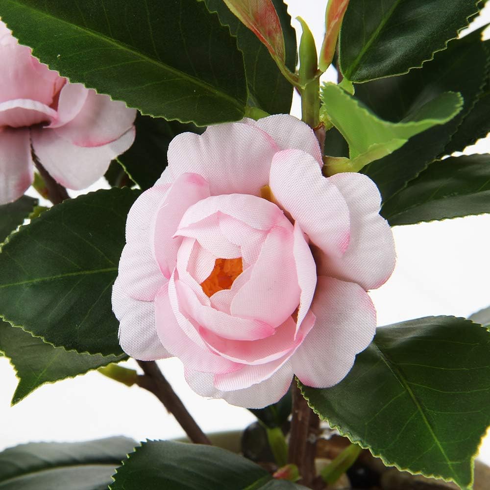 Artificial Plants Mini Camellia Potted Fake Plants Small Faux Plastic Plants Desk Plant Artificial Flowers with Vase for Home Office Desk Kitchen Garden Indoor Decor