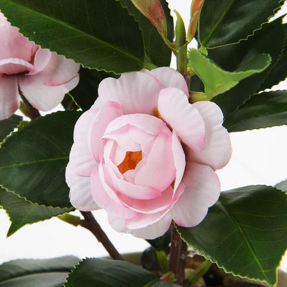 Artificial Plants Mini Camellia Potted Fake Plants Small Faux Plastic Plants Desk Plant Artificial Flowers with Vase for Home Office Desk Kitchen Garden Indoor Decor