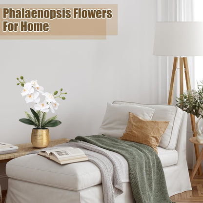 2 Pcs Orchids Artificial Flowers in Gold Ceramic Vase 13'' White Fake Flowers Phalaenopsis Faux Orchid for Home Office Wedding Party Dining Room Table Centerpiece Decoration