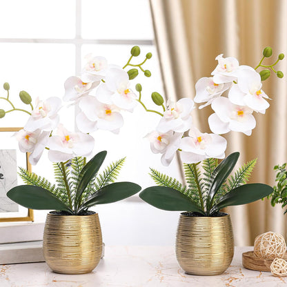2 Pcs Orchids Artificial Flowers in Gold Ceramic Vase 13'' White Fake Flowers Phalaenopsis Faux Orchid for Home Office Wedding Party Dining Room Table Centerpiece Decoration