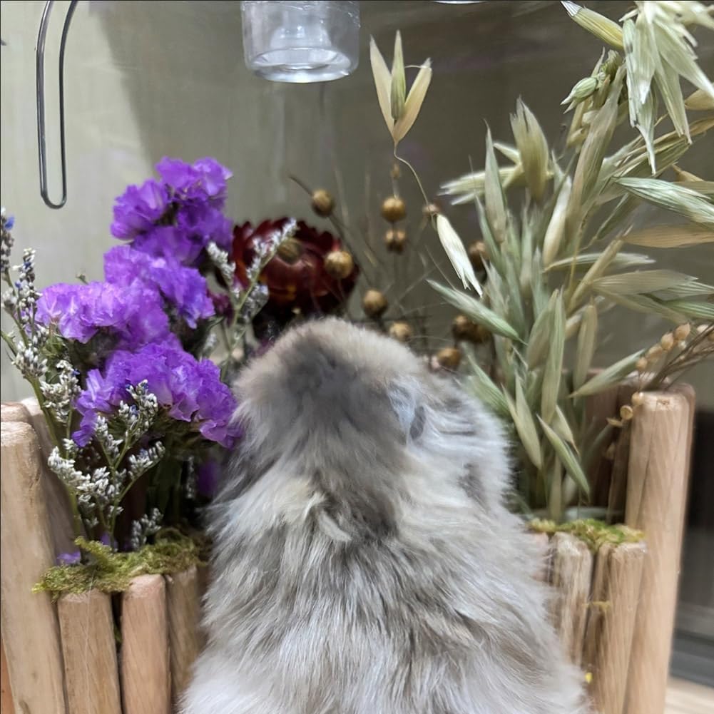 Hamster Natural Wood Flower Foraging Holder, Interactive Feeding Stand Habitat Accessories for Small Pets Hamsters Guinea Pigs Dwarf Gerbils (Yellow, 8x13.5cm)