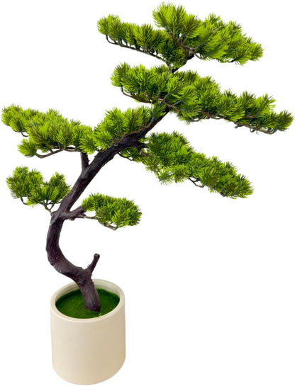 6FT Artificial Bonsai Tree in Pot – Large Realistic Cedar Tree Faux Pine Plant for Home & Office Decor, Hotel Lobby Entryway Greenery