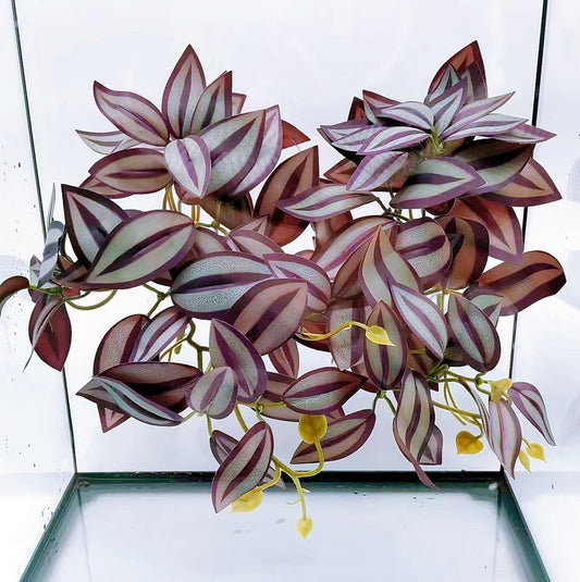 Reptile Plants for Terrarium, Hanging with Suction Cup,Tank Decor