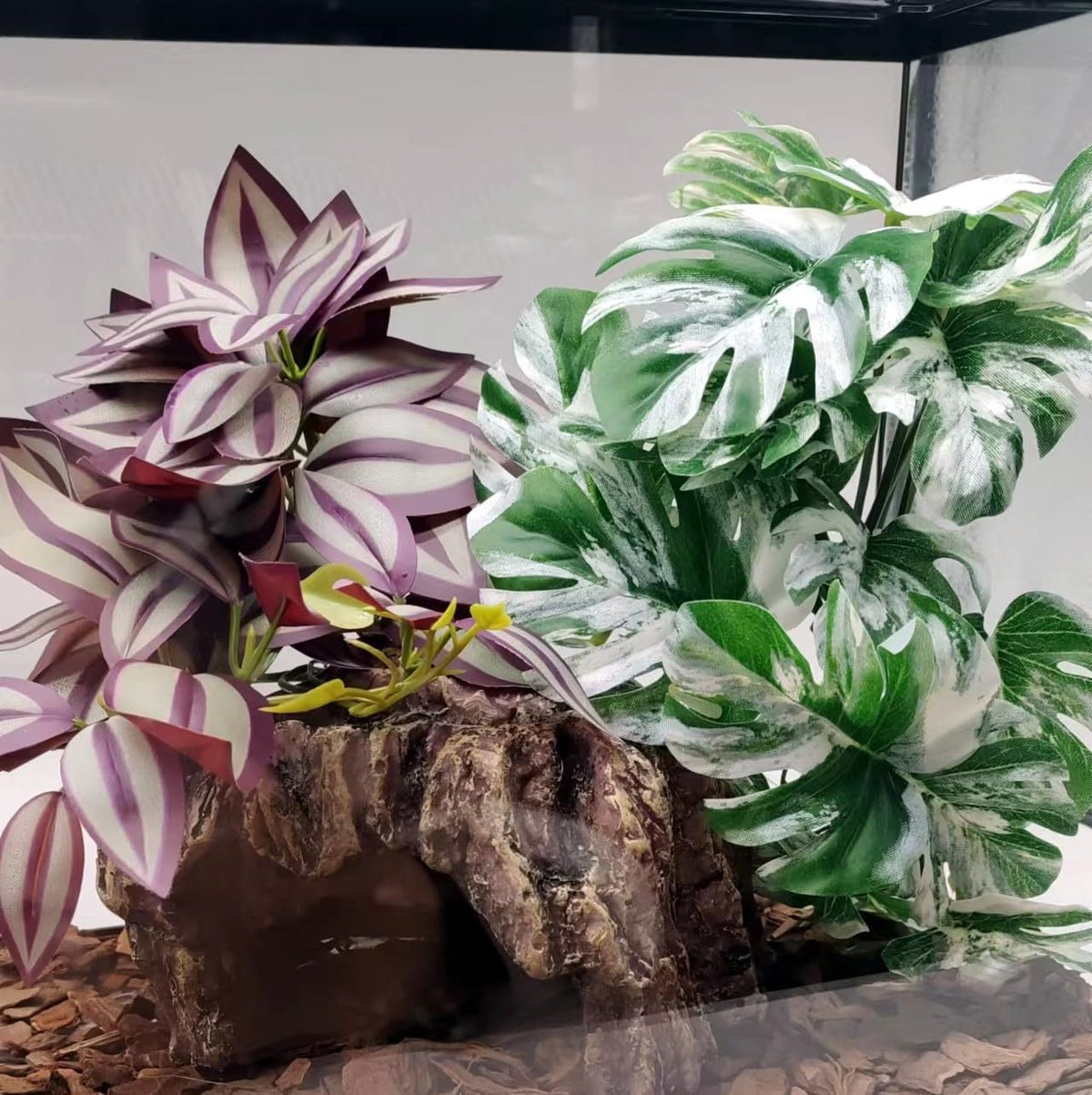 Reptile Plants for Terrarium, Hanging with Suction Cup,Tank Decor