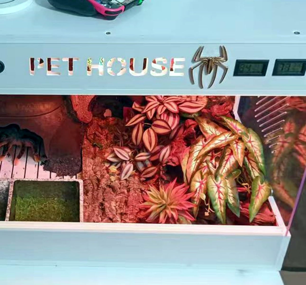 Reptile Plants for Terrarium, Hanging with Suction Cup,Tank Decor