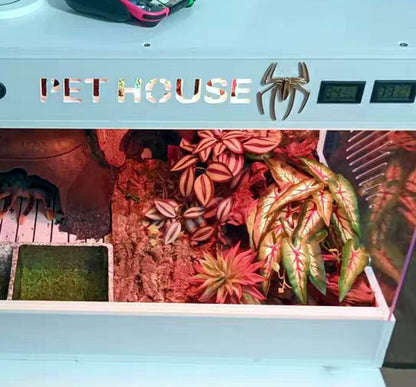 Reptile Plants for Terrarium, Hanging with Suction Cup,Tank Decor