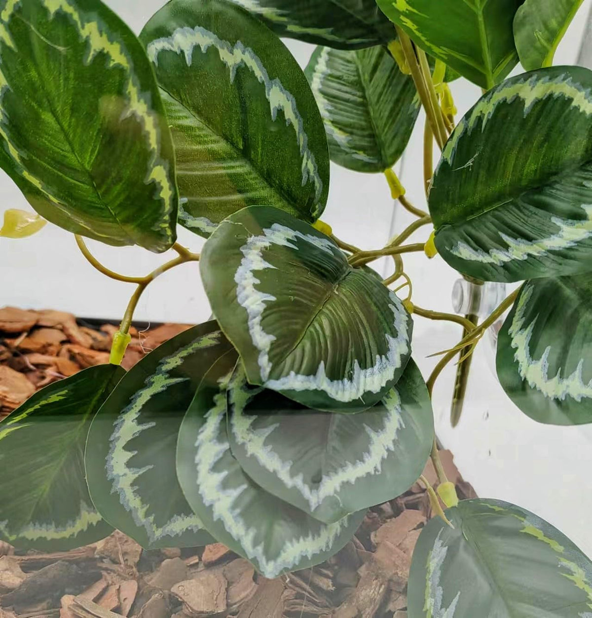 Reptile Plants for Terrarium, Hanging with Suction Cup,Tank Decor