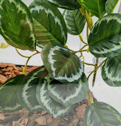Reptile Plants for Terrarium, Hanging with Suction Cup,Tank Decor