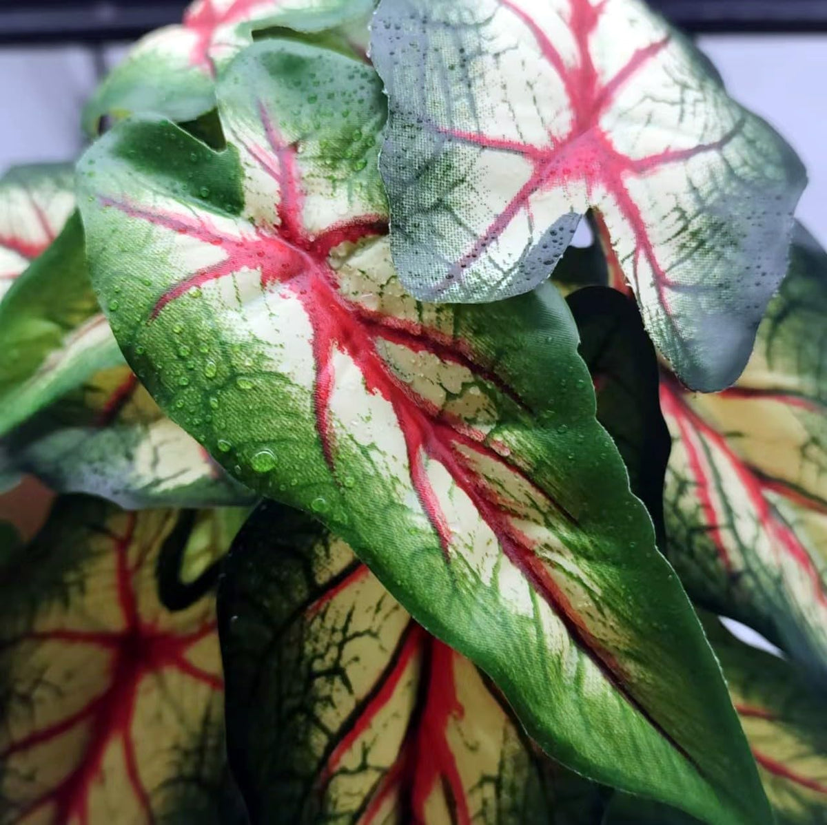 Reptile Plants for Terrarium, Hanging with Suction Cup,Tank Decor