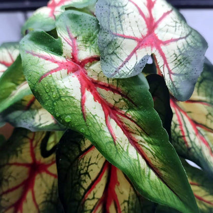 Reptile Plants for Terrarium, Hanging with Suction Cup,Tank Decor