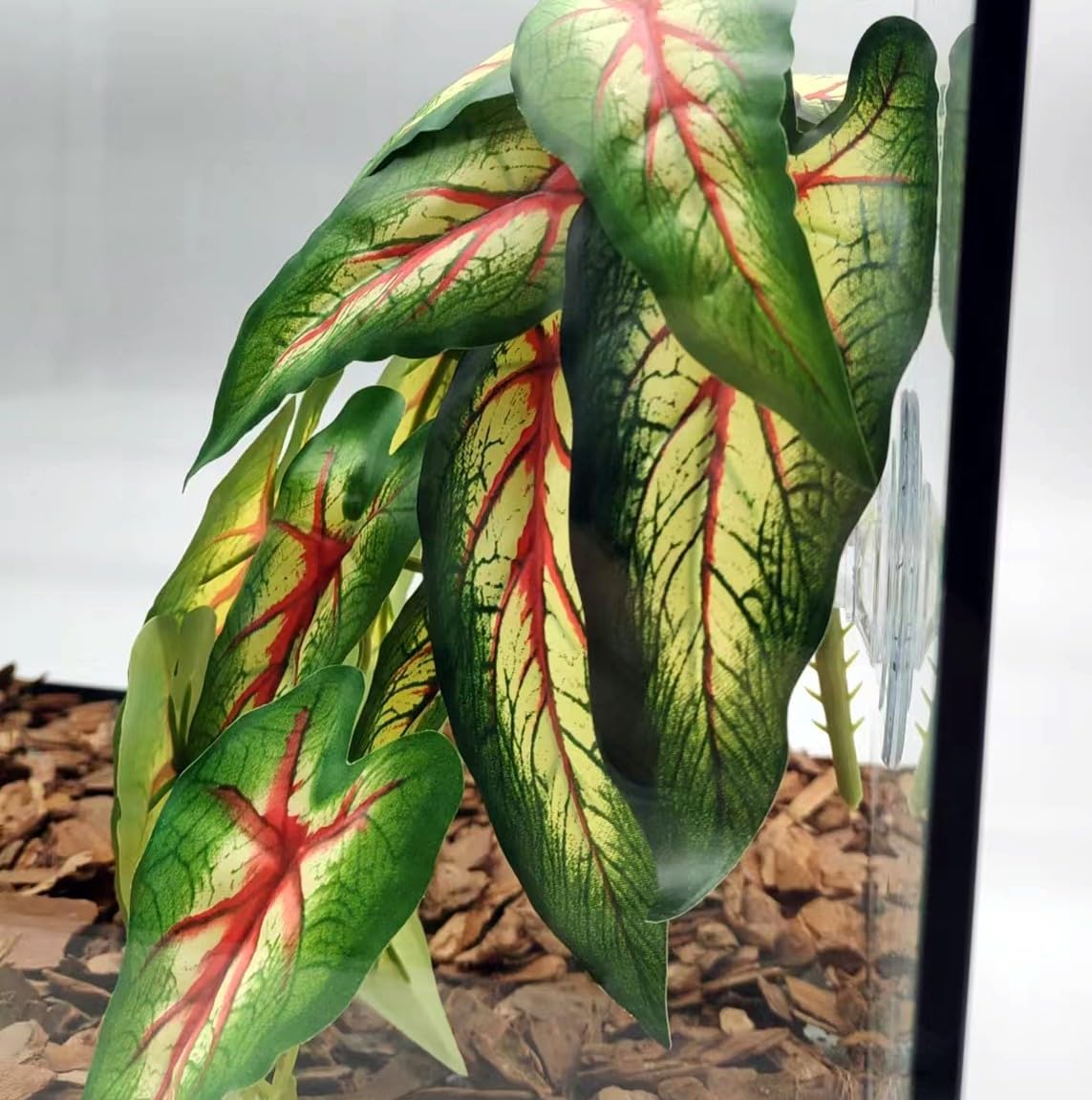 Reptile Plants for Terrarium, Hanging with Suction Cup,Tank Decor