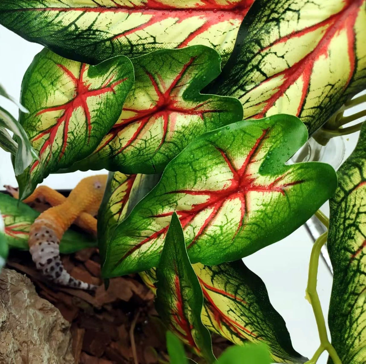 Reptile Plants for Terrarium, Hanging with Suction Cup,Tank Decor