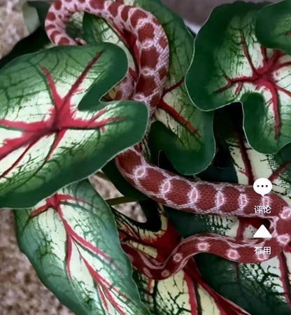 Reptile Plants for Terrarium, Hanging with Suction Cup,Tank Decor