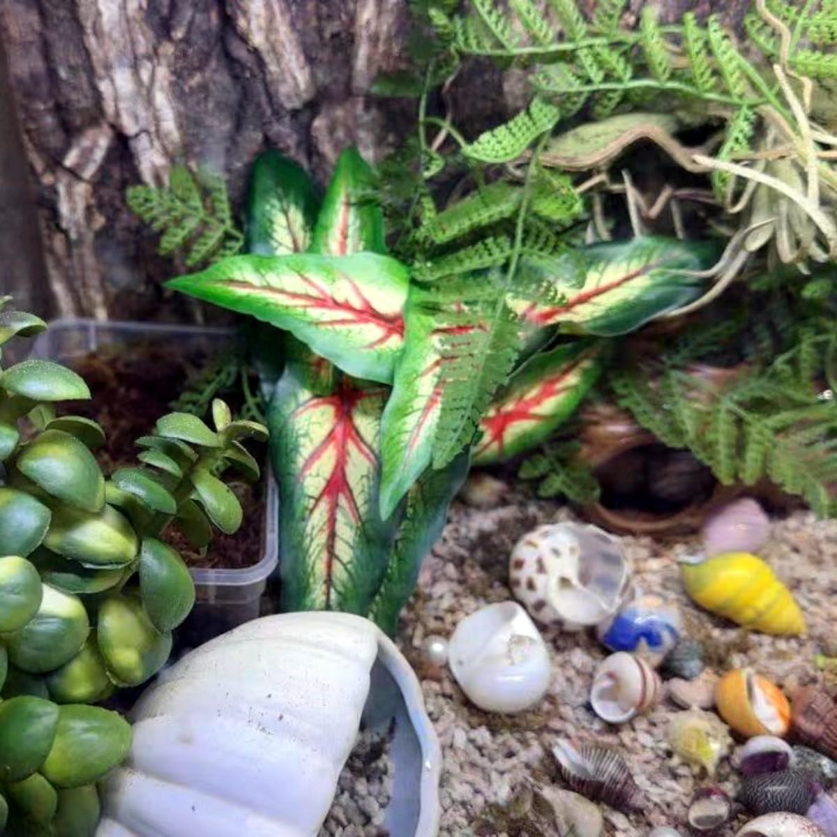 Reptile Plants for Terrarium, Hanging with Suction Cup,Tank Decor