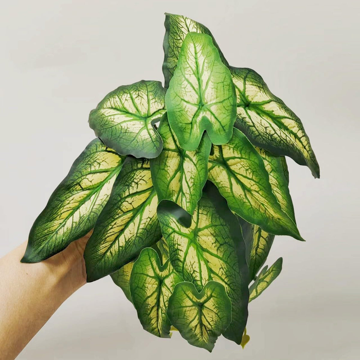 Reptile Plants for Terrarium, Hanging with Suction Cup,Tank Decor