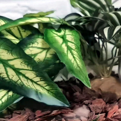 Reptile Plants for Terrarium, Hanging with Suction Cup,Tank Decor