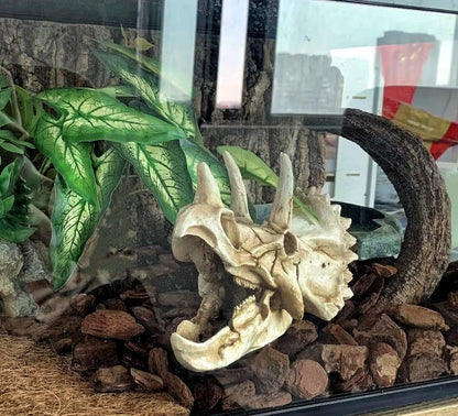 Reptile Plants for Terrarium, Hanging with Suction Cup,Tank Decor
