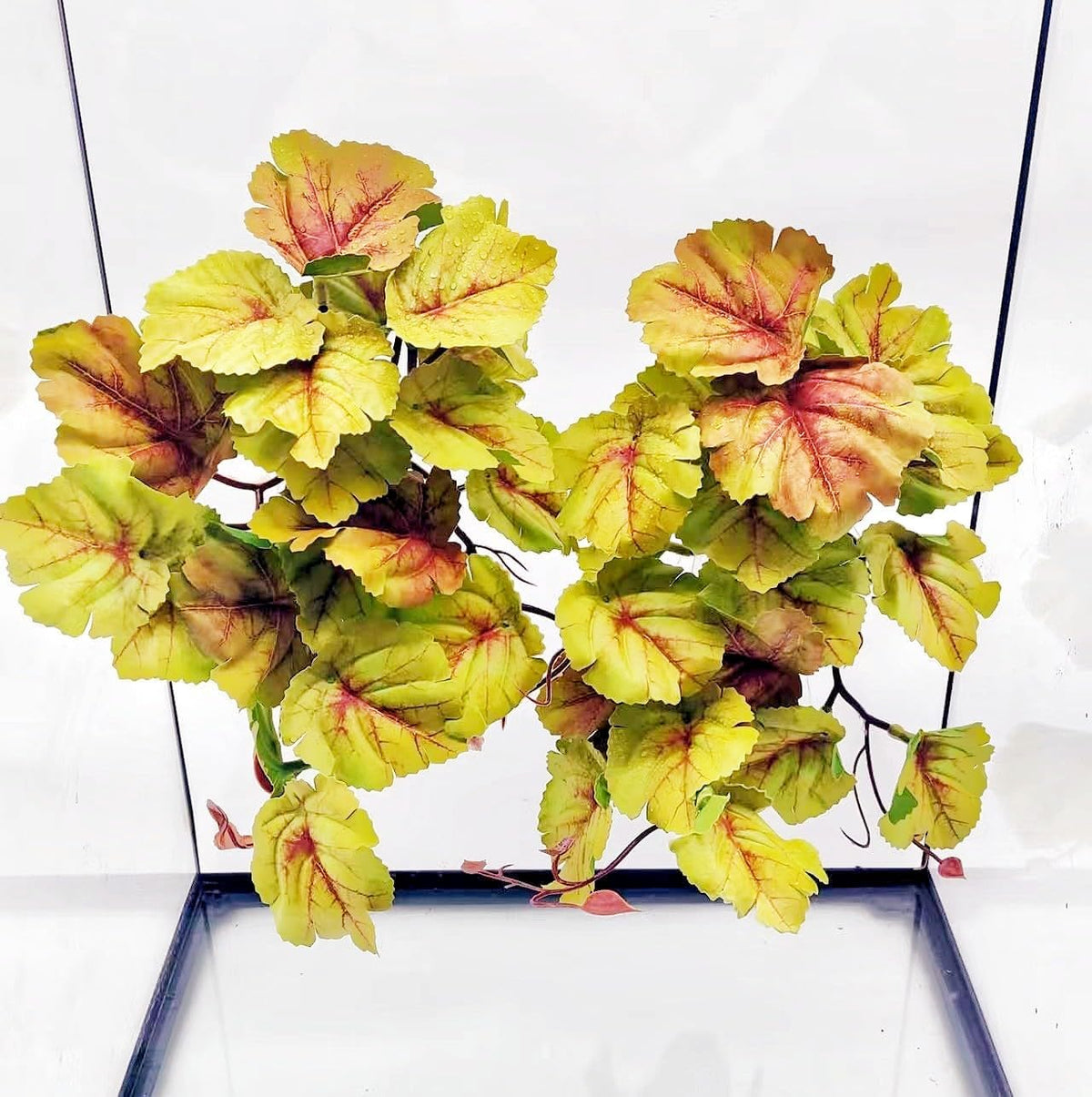 Reptile Plants for Terrarium, Hanging with Suction Cup,Tank Decor