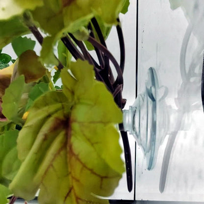 Reptile Plants for Terrarium, Hanging with Suction Cup,Tank Decor