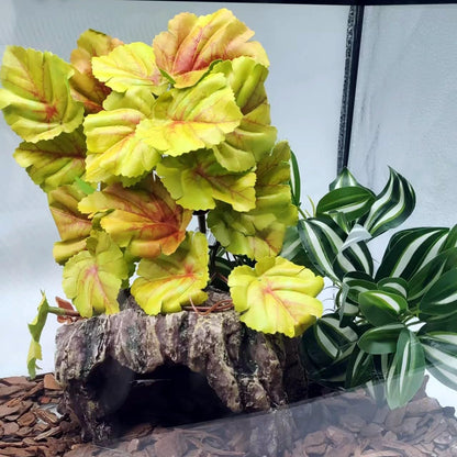 Reptile Plants for Terrarium, Hanging with Suction Cup,Tank Decor