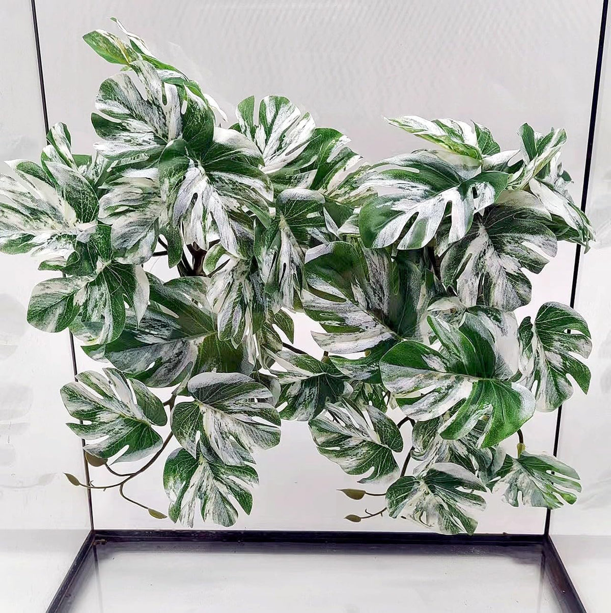 Reptile Plants for Terrarium, Hanging with Suction Cup,Tank Decor