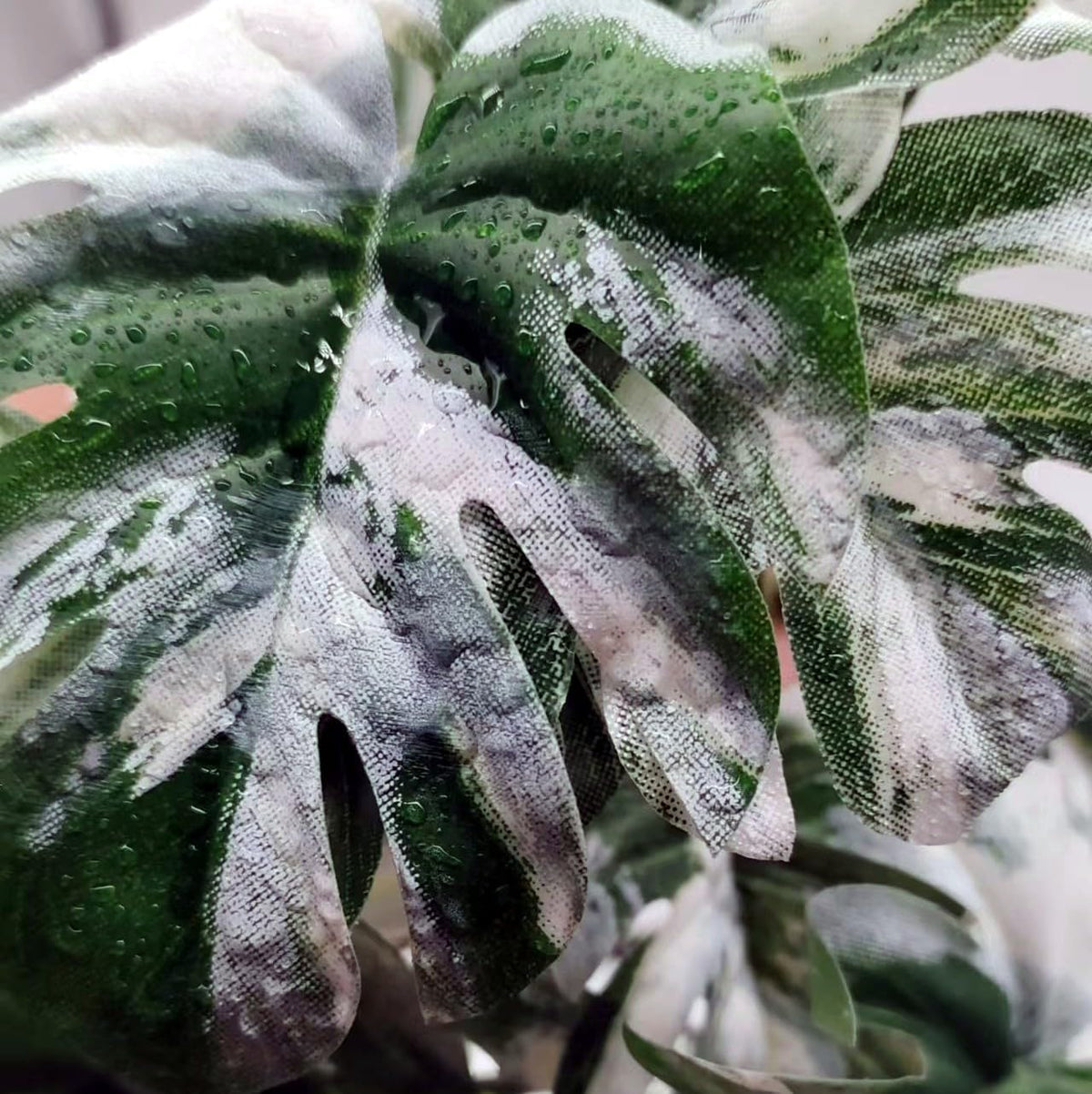 Reptile Plants for Terrarium, Hanging with Suction Cup,Tank Decor
