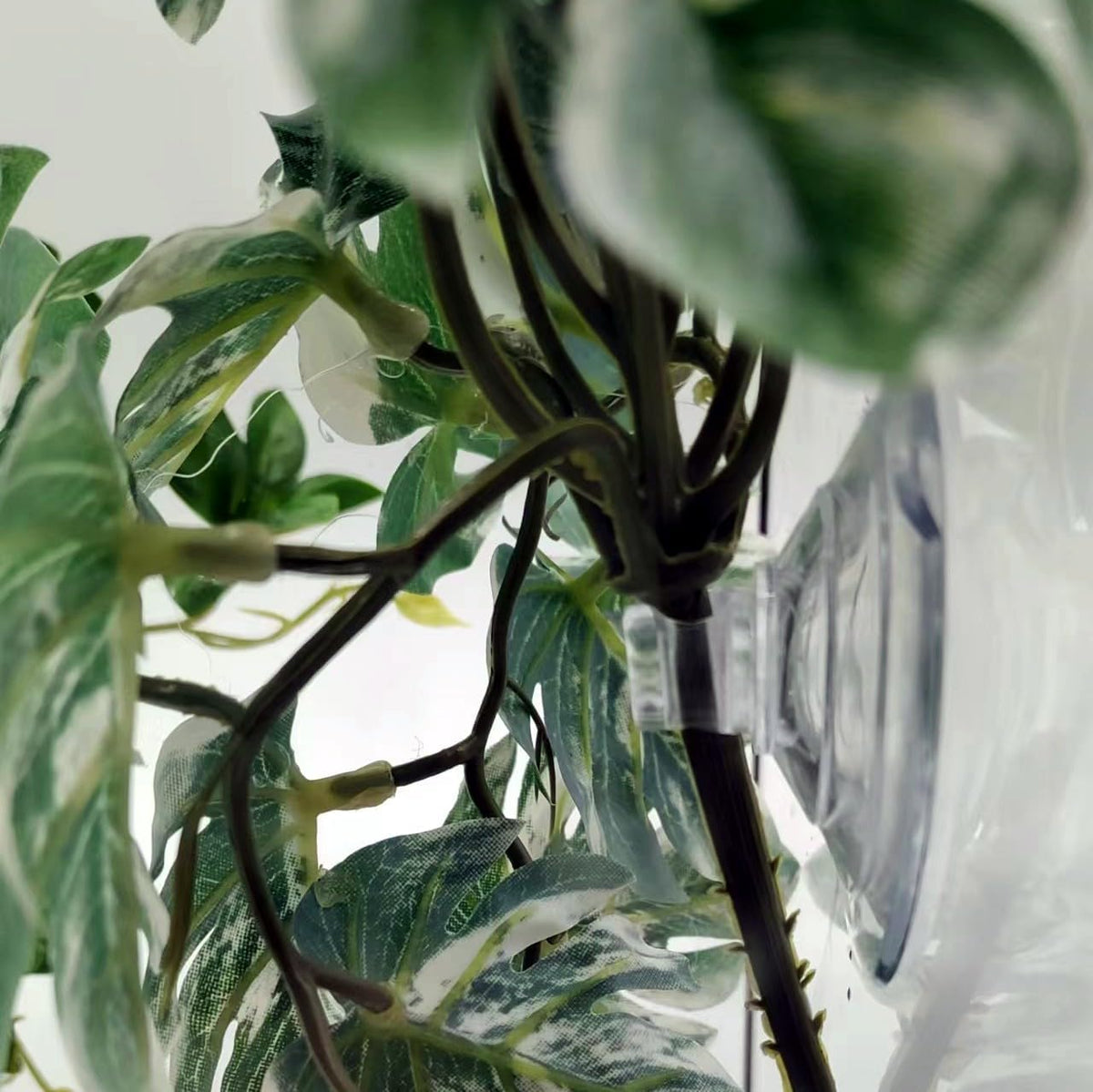 Reptile Plants for Terrarium, Hanging with Suction Cup,Tank Decor