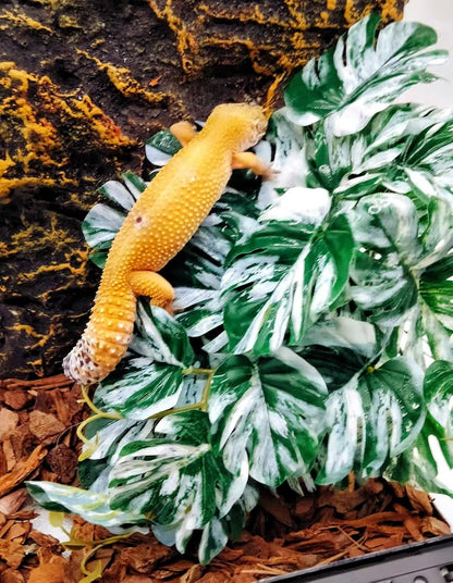 Reptile Plants for Terrarium, Hanging with Suction Cup,Tank Decor