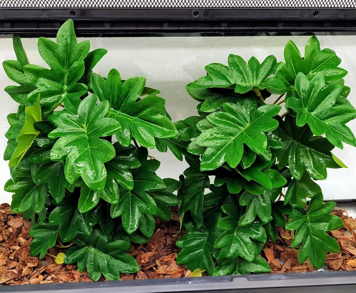 Reptile Plants for Terrarium, Hanging with Suction Cup,Tank Decor