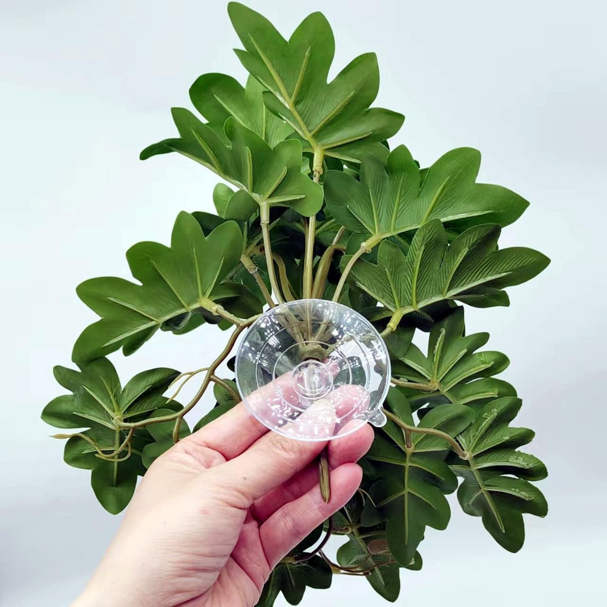Reptile Plants for Terrarium, Hanging with Suction Cup,Tank Decor