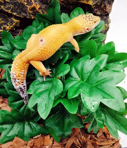 Reptile Plants for Terrarium, Hanging with Suction Cup,Tank Decor