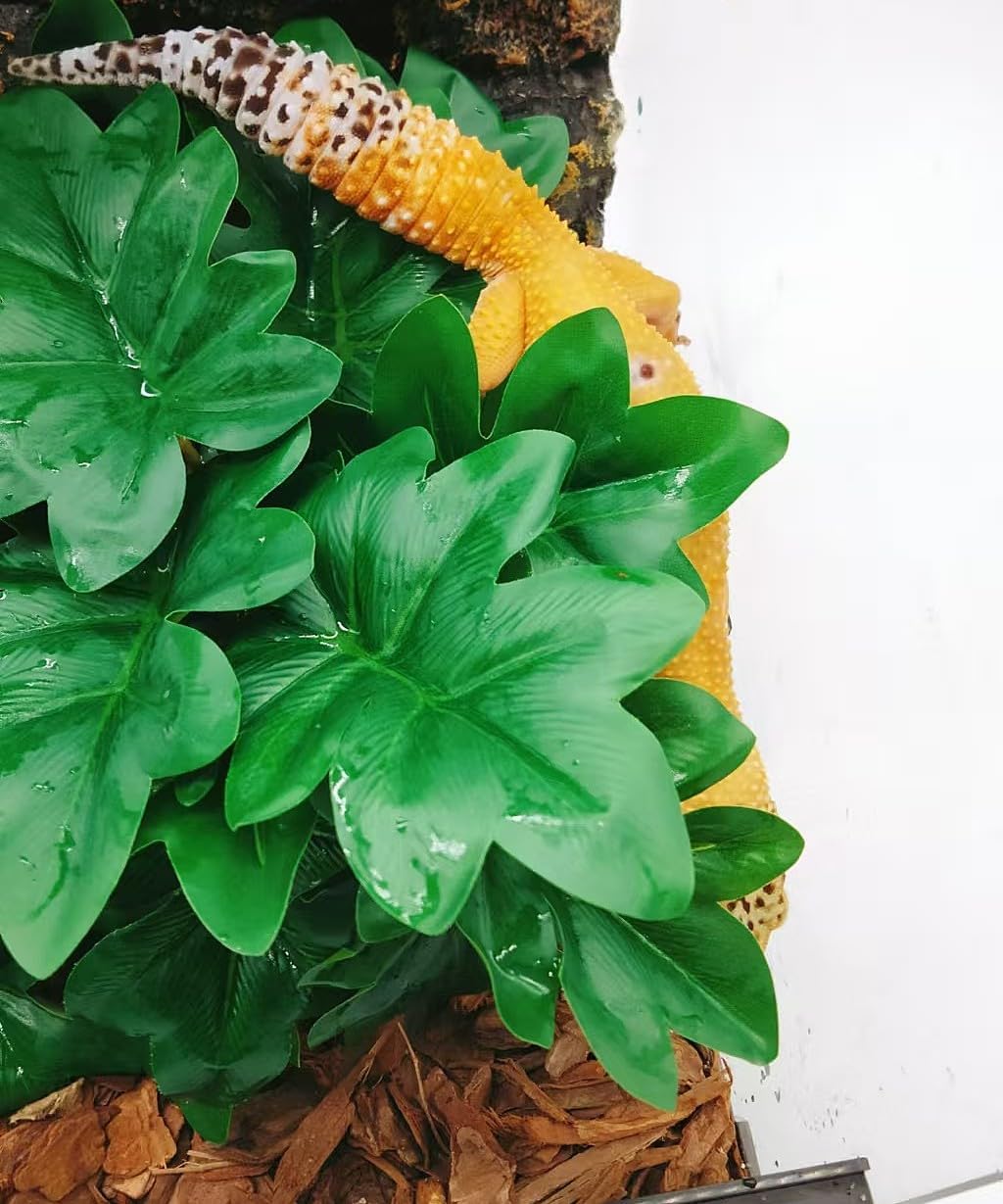Reptile Plants for Terrarium, Hanging with Suction Cup,Tank Decor