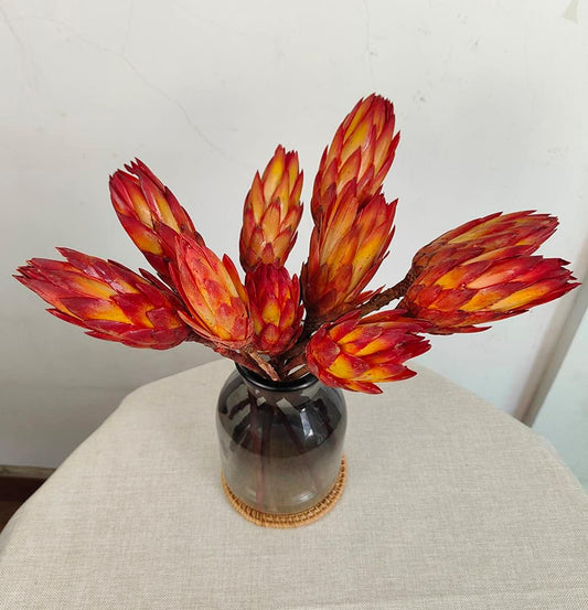 4 stems Dried Protea Flower 14 ‘’ Dried Plant, Preserved Flowers for Vase Filling, Dried Flower Arrangements, Centerpiece Decor，indoor decor，Home Decoration, Wedding Bouquet Plants Decor