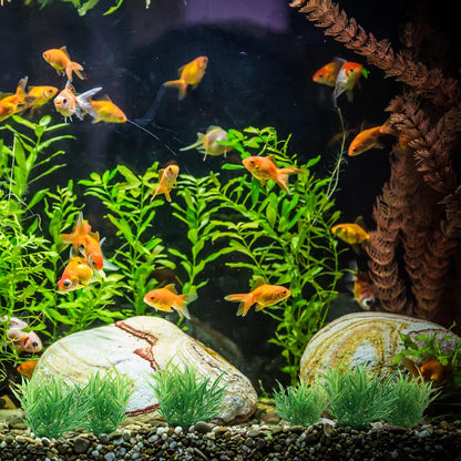 Green Aquarium Plant Ornaments, Artificial Water Plants, Lifelike Plastic Fish Tank Foreground Grass, Water Tank Decorations (10Pcs)